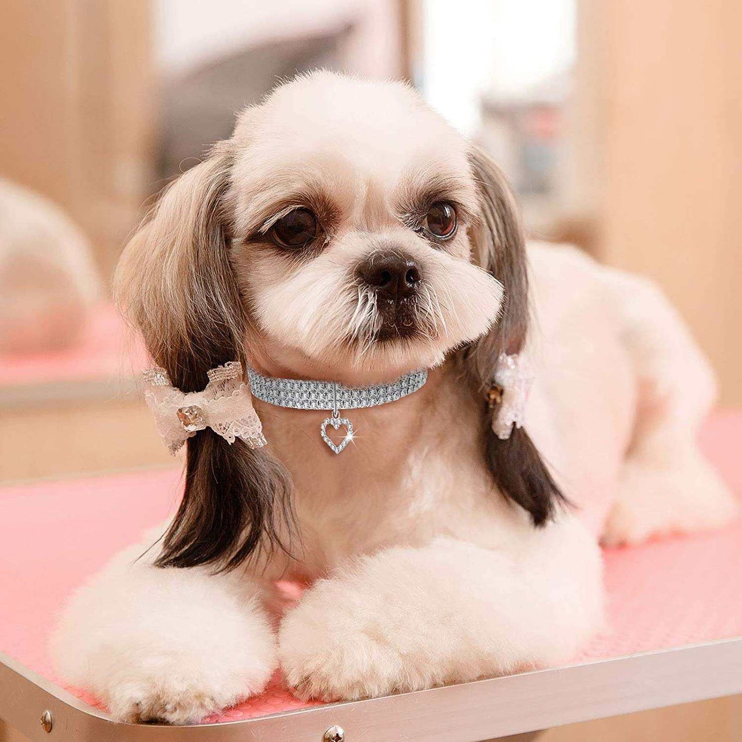 Bling rhinestone pet collars for cats and dogs in white