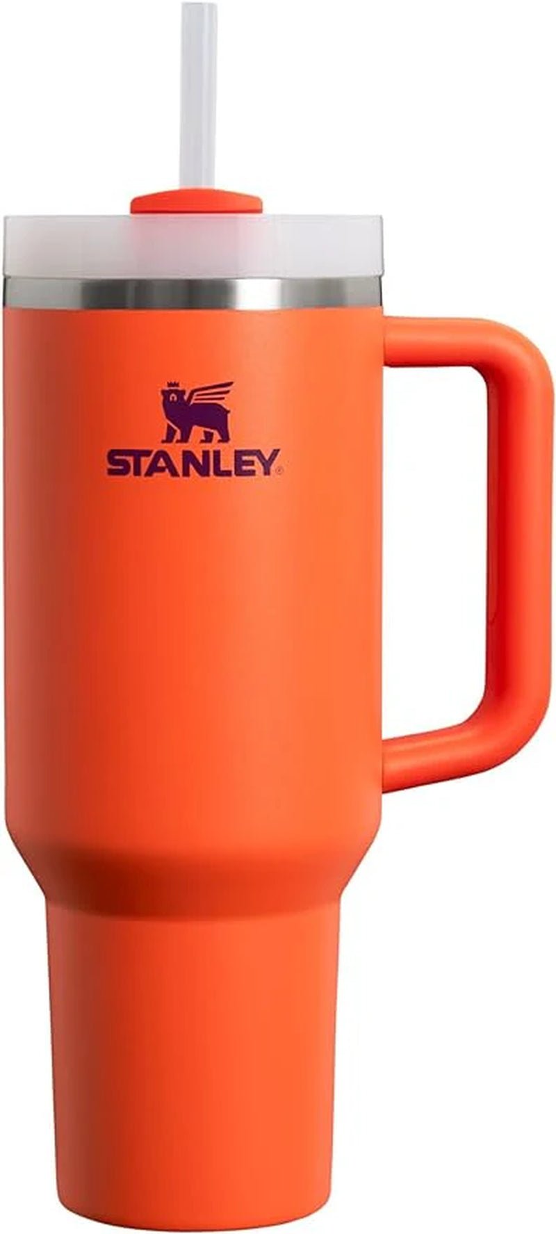 Stainless Steel Vacuum Insulated Tumbler