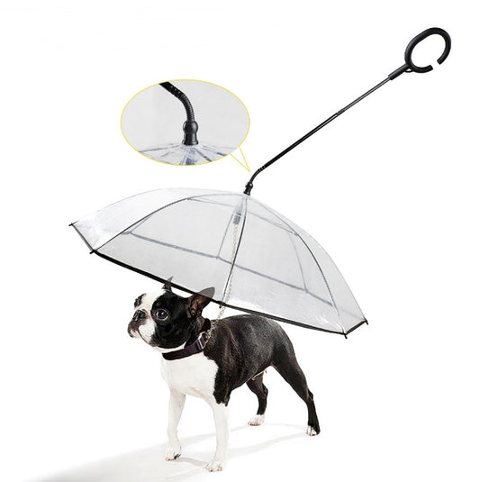 Parapluie transparent réglable pour animaux de compagnie
