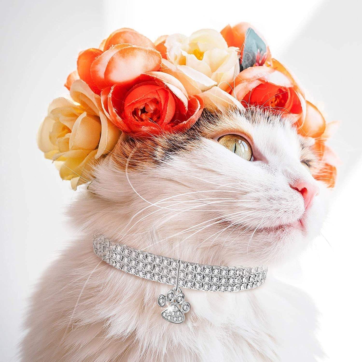 Bling rhinestone pet collars for cats and dogs in white