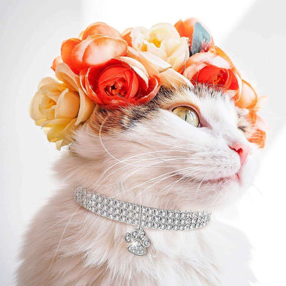 Bling rhinestone pet collars for cats and dogs in white