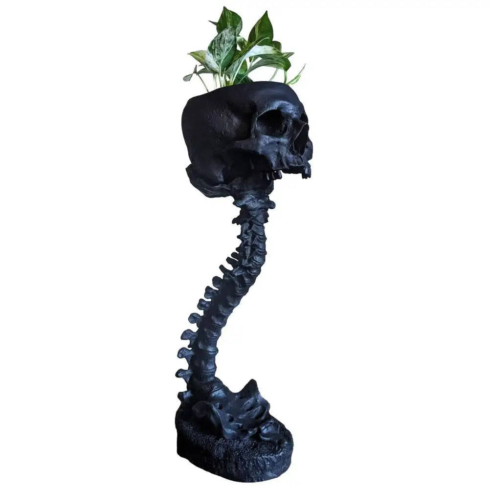 Skull Head Backbone Plant Planter Indoor Halloween Decor