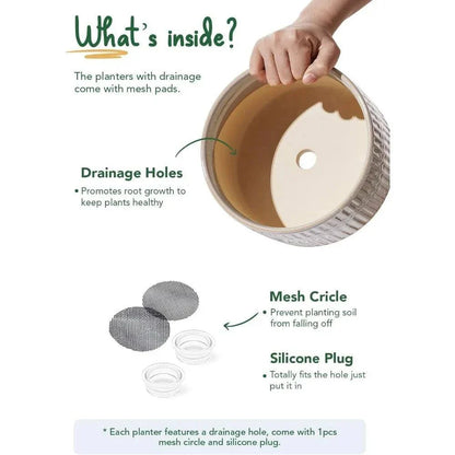 Ceramic Indoor Plant Pot with Drainage Set of 2